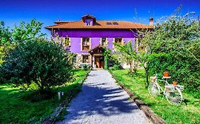 El Búho de la Remolina